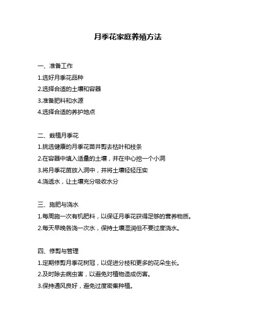 月季花家庭养殖方法