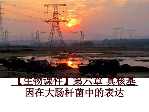 最新【生物课件】第六章 真核基因在大肠杆菌中的表达讲学课件