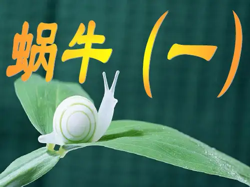 蜗牛小学科学PPT课件