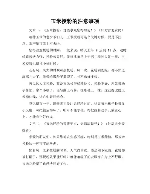 玉米授粉的注意事项