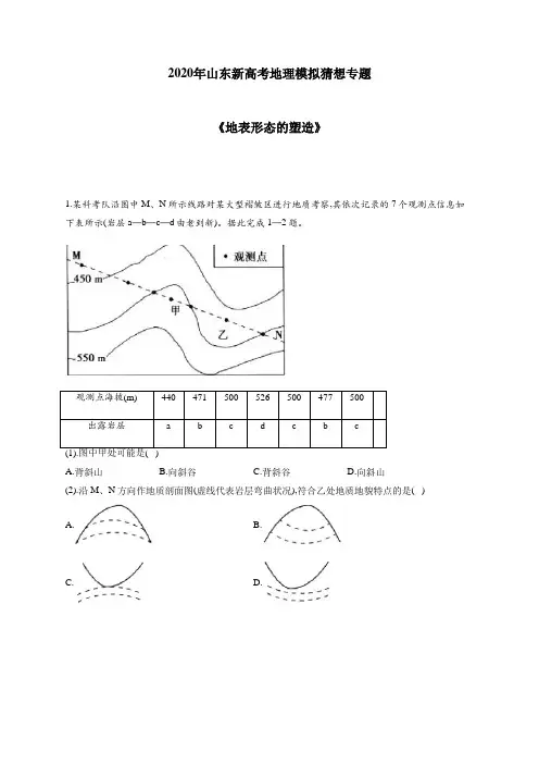 2020年山东新高考地理模拟猜想专题-地表形态的塑造(详解)