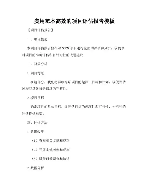 实用范本高效的项目评估报告模板