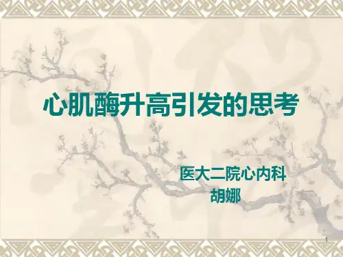 心肌酶升高引发的PPT课件
