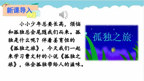 九年级语文上册教学课件《孤独之旅》