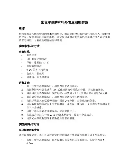 紫色洋葱鳞片叶外表皮细胞实验