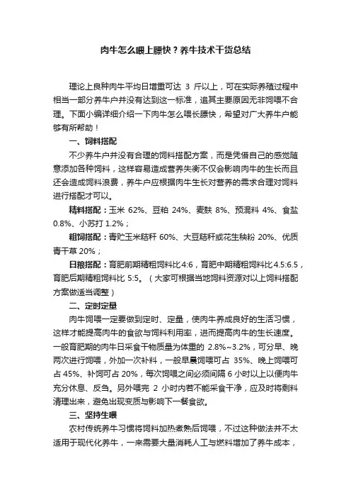 肉牛怎么喂上膘快？养牛技术干货总结