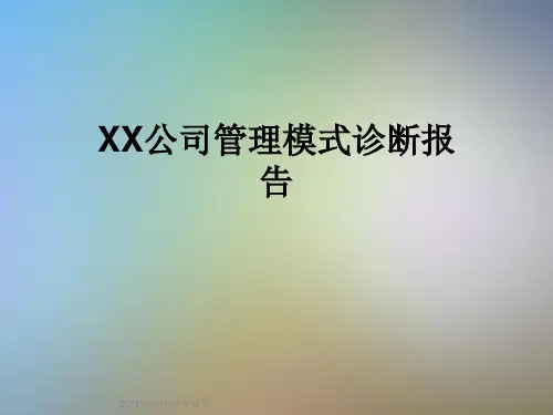 XX公司管理模式诊断报告