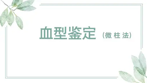 血型鉴定(微柱法) 