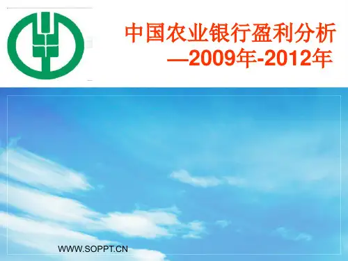 中国农业银行盈利分析