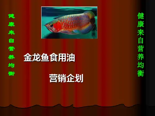 金龙鱼食用油营销企划
