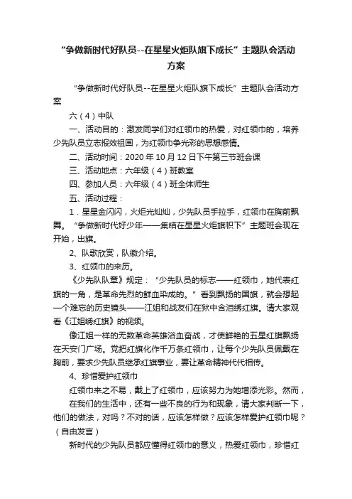 “争做新时代好队员--在星星火炬队旗下成长”主题队会活动方案