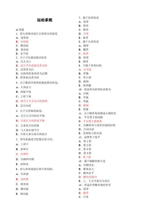 《运动系统》练习题
