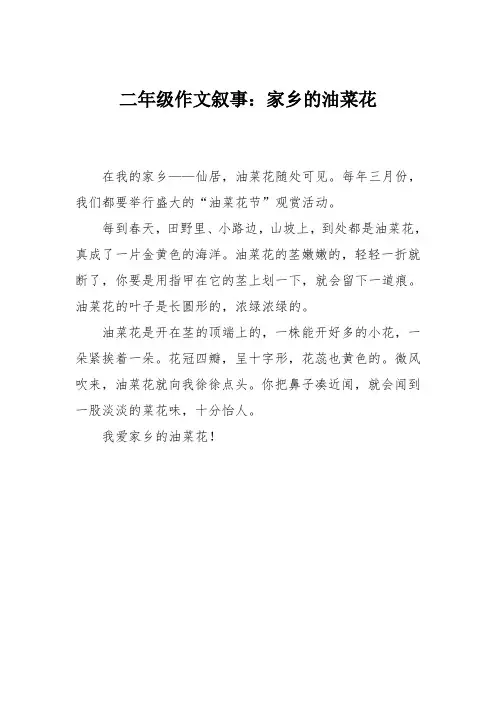 二年级作文叙事：家乡的油菜花