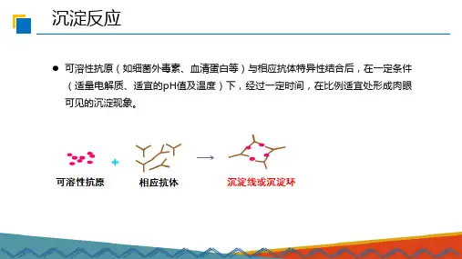 单向、双向免疫琼脂扩散和免疫电泳—单向双向免疫琼脂扩散