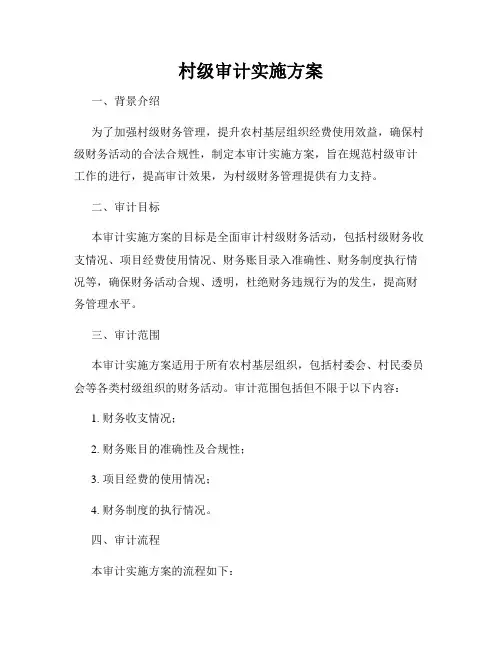 村级审计实施方案