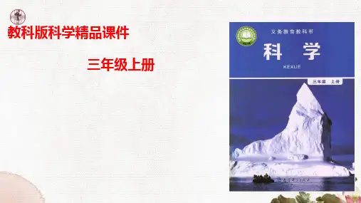 教科版小学科学三年级上册1.4《冰融化了》课件
