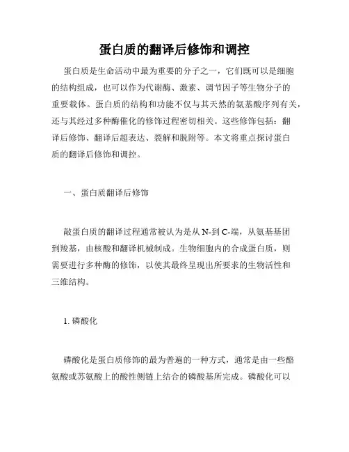 蛋白质的翻译后修饰和调控
