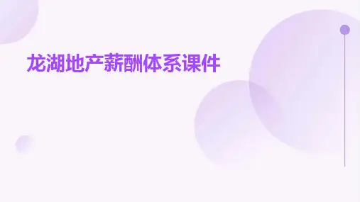 龙湖地产薪酬体系课件
