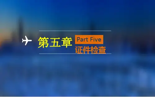 民航安全检查实务(第五章)