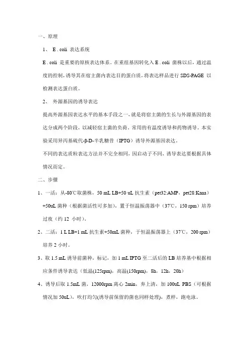 重组蛋白的大量表达