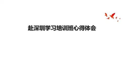 赴深圳学习培训班心得体会