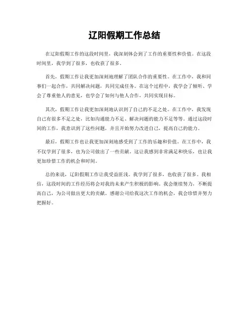 辽阳假期工作总结