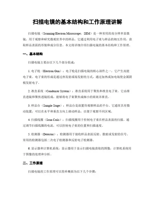扫描电镜的基本结构和工作原理讲解