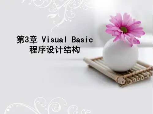 大学vb  第3章 顺序结构