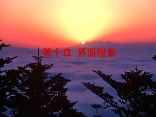天津大学物理化学课件 界面现象