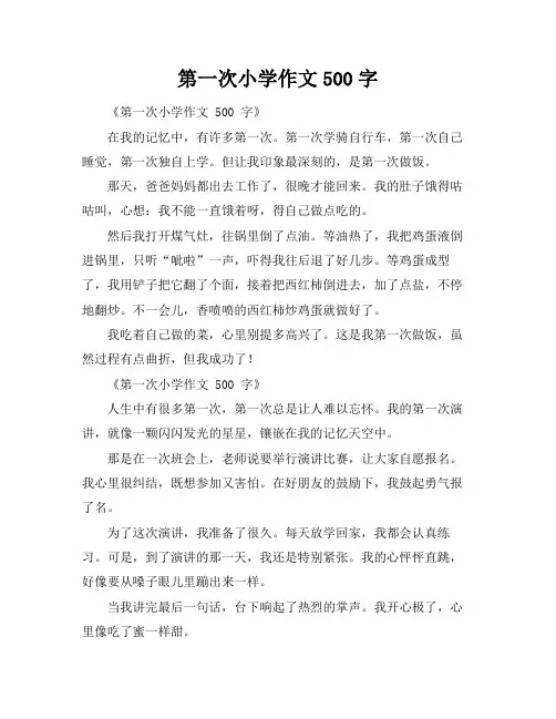 第一次小学作文500字