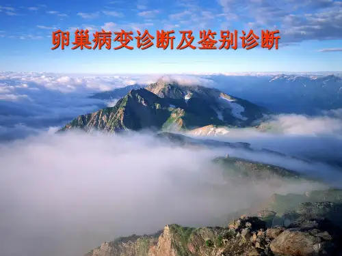 卵巢病变的CT、MRI诊断 