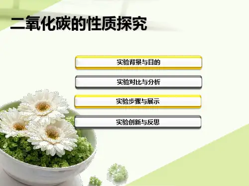 二氧化碳实验改进