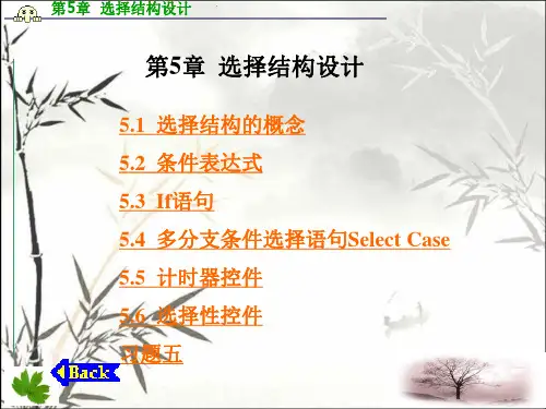 选择结构设计 PPT课件