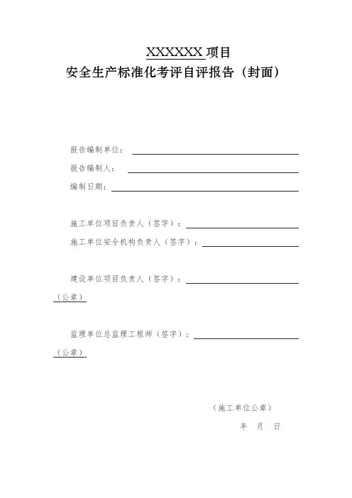 项目安全生产标准化考评自评报告