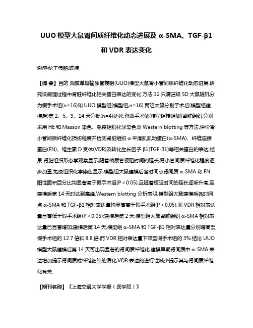 UUO模型大鼠肾间质纤维化动态进展及α-SMA、TGF-β1和VDR表达变化