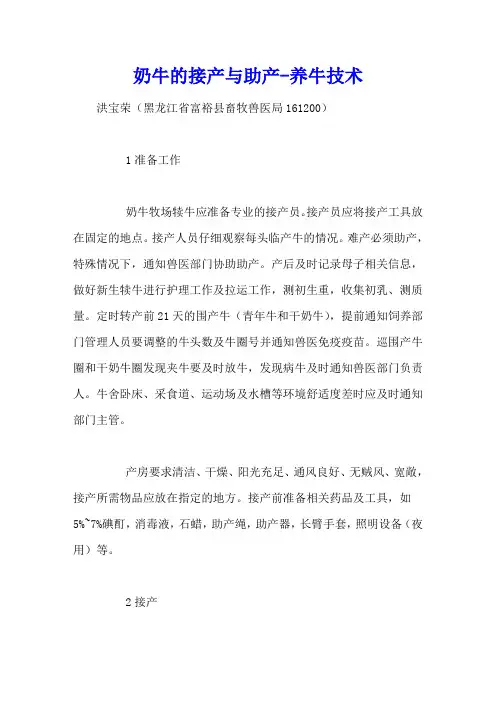 奶牛的接产与助产 - 养牛技术