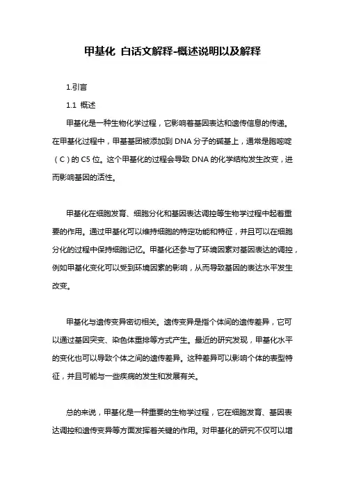 甲基化 白话文解释-概述说明以及解释