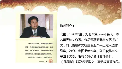 狐狸小学的插班生