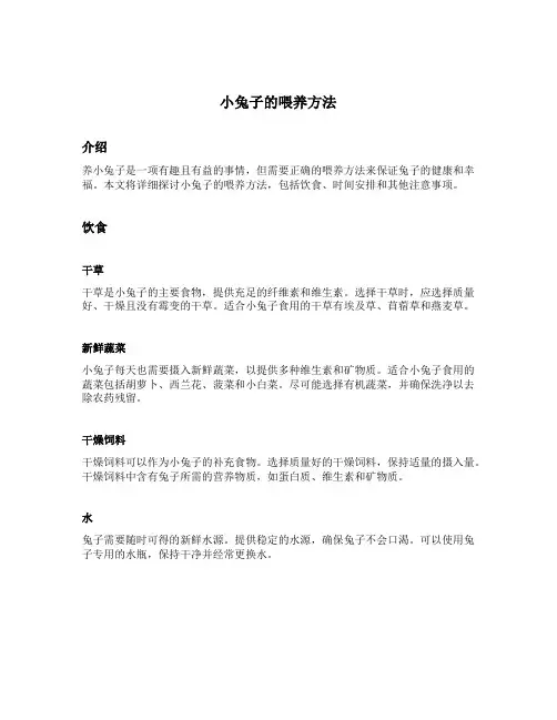 小兔子的喂养方法