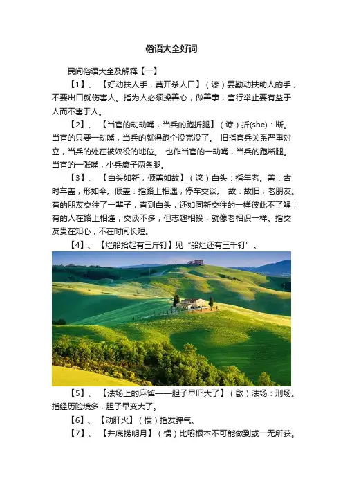 俗语大全好词