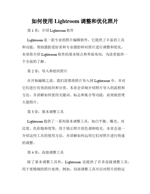 如何使用Lightroom调整和优化照片