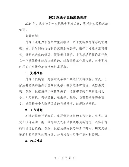 2024绝缘子更换经验总结