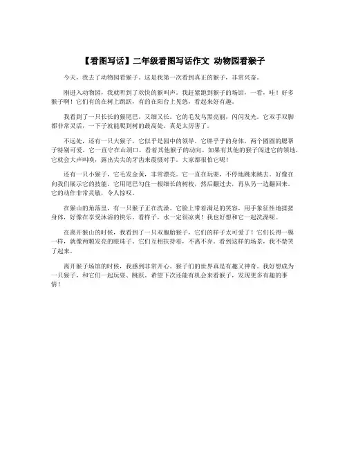 【看图写话】二年级看图写话作文 动物园看猴子