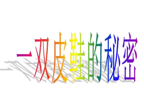 一双皮鞋的秘密阅读答案