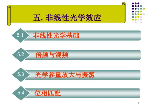 第五章 非线性光学
