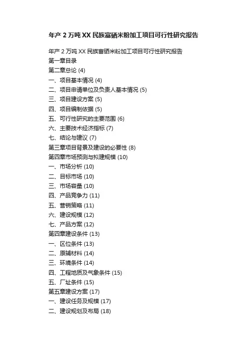 年产2万吨XX民族富硒米粉加工项目可行性研究报告