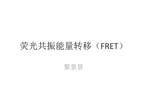 荧光共振能量转移(FRET)