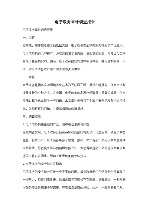电子政务审计调查报告