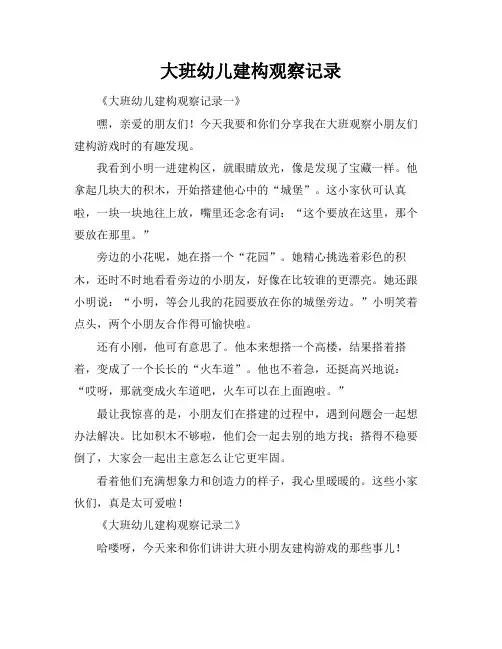 大班幼儿建构观察记录