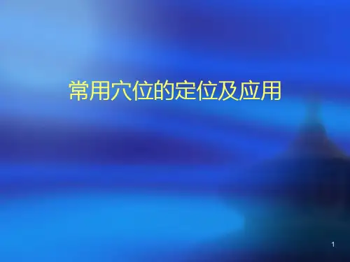 22常用穴位的定位及应用58PPT课件